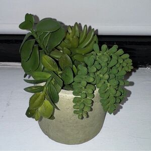 THRESHOLD Faux Succulent Plant